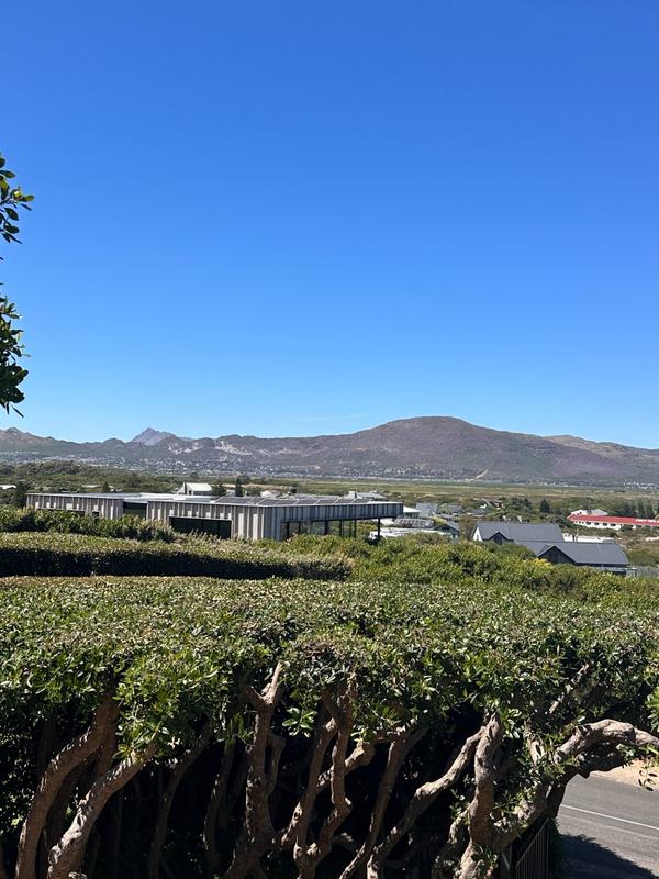 To Let 0 Bedroom Property for Rent in Chapman